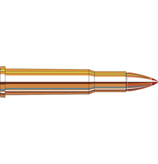 HORNADY 82730 LEVEREVOLUTION .30-30 WIN 160GR FTX LEVEREVOLU