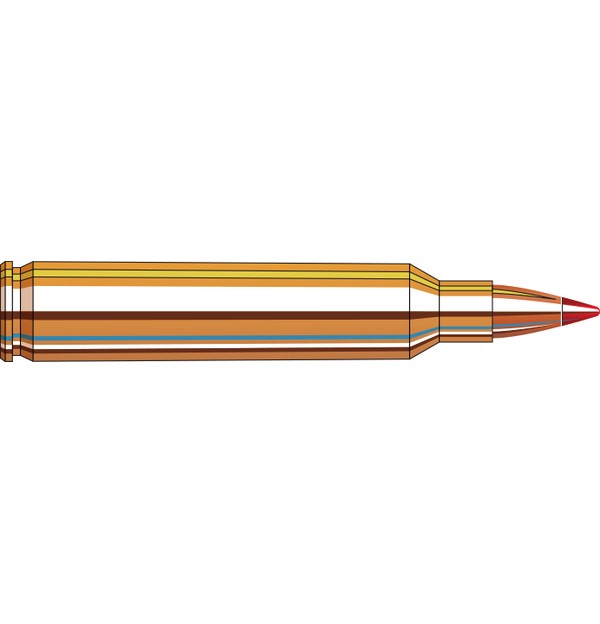 HORNADY 83204 AMMO .204 RUGER 32GR V-MAX 20/200