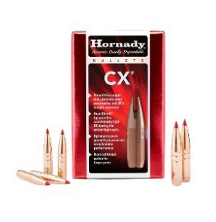 HORNADY GESCHOSSE .25/.257 90GR CX