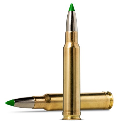 NORMA .338 WIN MAG ECOSTRIKE 13,0G 200GR